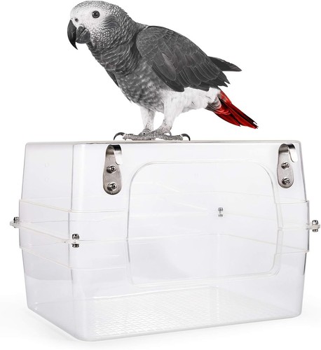 Colorday large bird - bath, for