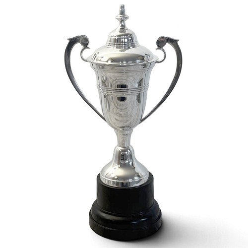 Silver trophy cup - cup, 30cm
