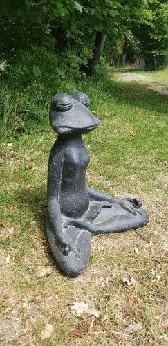 Frog yoga cast - , 46x30x52