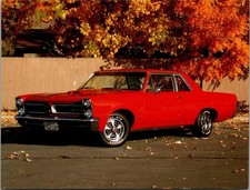 Pontiac GTO Classic Car 4x6 automobile Postcard