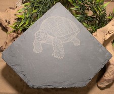 XXL Large Personalised Laser Engraved Slate Corner Cave Hide Basking Reptile