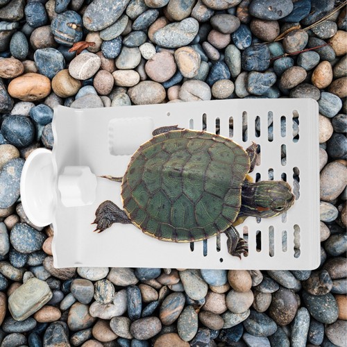Turtle tank accessories - tank,