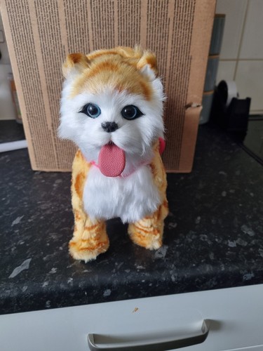 Realistic walking cat - realistic,