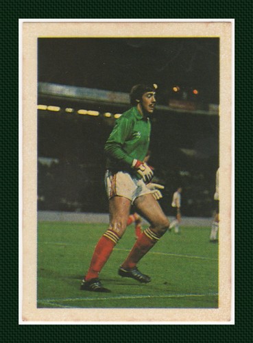 1982 adestor sticker 182 - adestor,