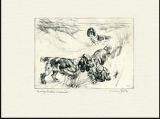 COCKER SPANIEL DOGS OLD 1936 VERNON STOKES GUNDOG DOG ART PRINT
