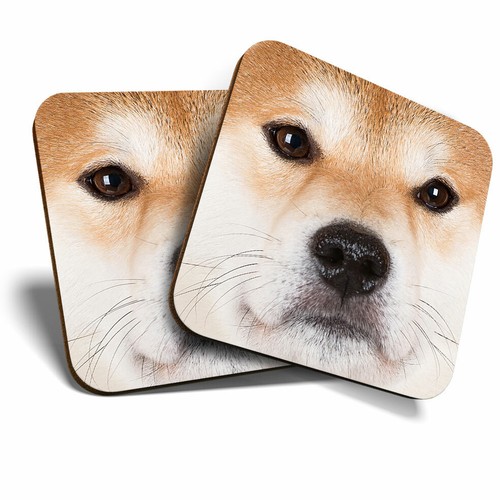 Coasters shiba inu - -,