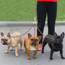 3 Way Triple Leather Dog