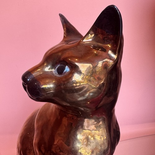 Rare bronze lustre siamese - bronze,