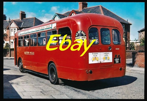 Bus photo leyland tiger cub - bus, photo,