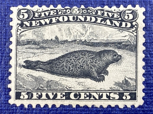 Newfoundland mint full - #26,