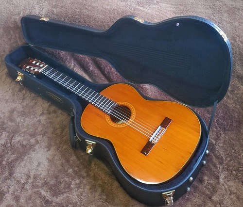 Ibanez 2843 classic guitar - ibanez,