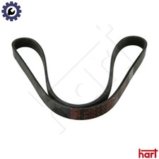 VRIBBED BELT 930 685 FOR