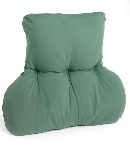 Teal green back support - back,