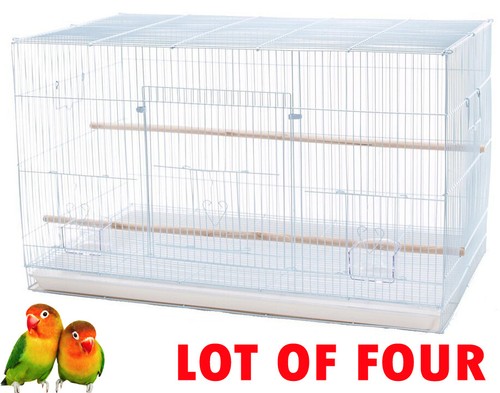 Lot large breeding - large,