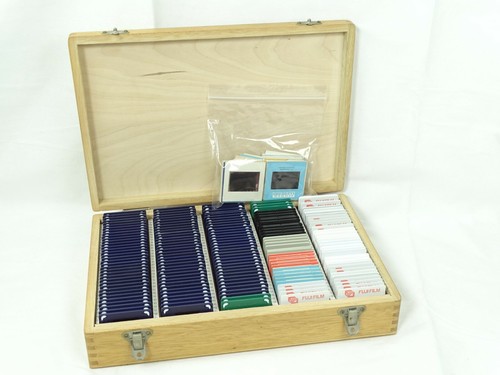 193 35mm colour slides - x,
