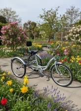 Ammaco Free And Easy 26" Wheel