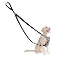 No Pull Dog Lead with Double