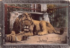 FAMILY HISTORY - POSTCARD -