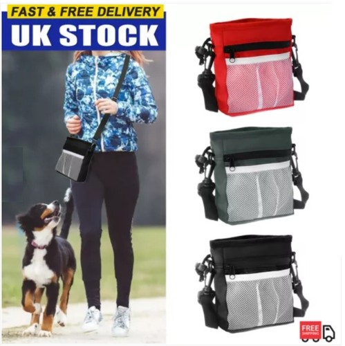 Dog walking training obedience - dog,