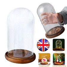 Glass Display Cloche Bell Jar Dome Cover 30cm Flower Preservation Wooden Base UK