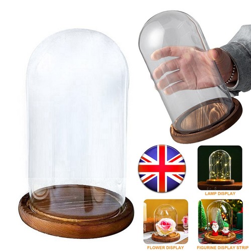 Glass display cloche bell jar - display,
