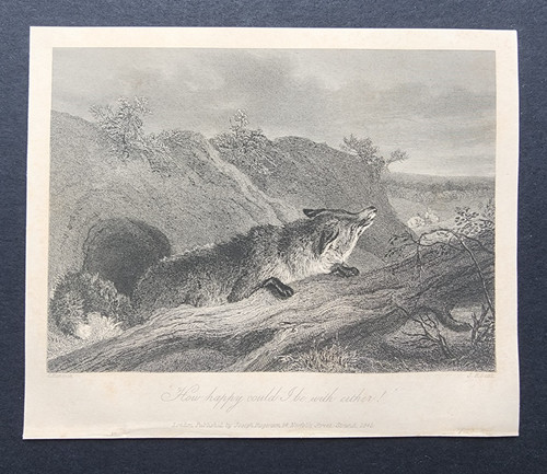 Antique 1845 print fox - antique,