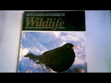 Orbis: The Illustrated