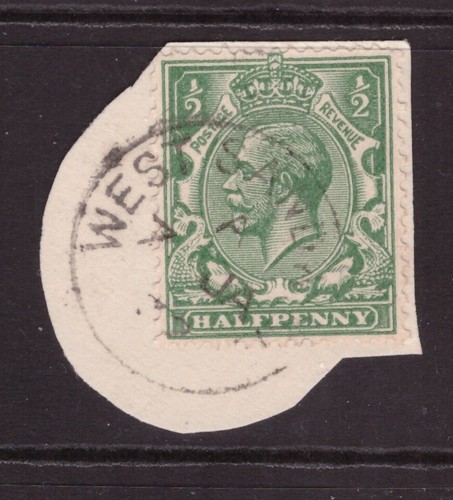 Shetland islands scarce - scarce, local