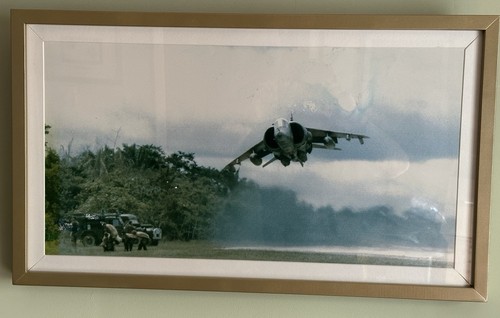 Harrier jet active service - in,