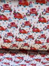 1 M Car Roses Nome Print 100%