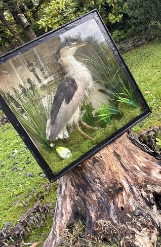 Antique rare 100 year old - 100,