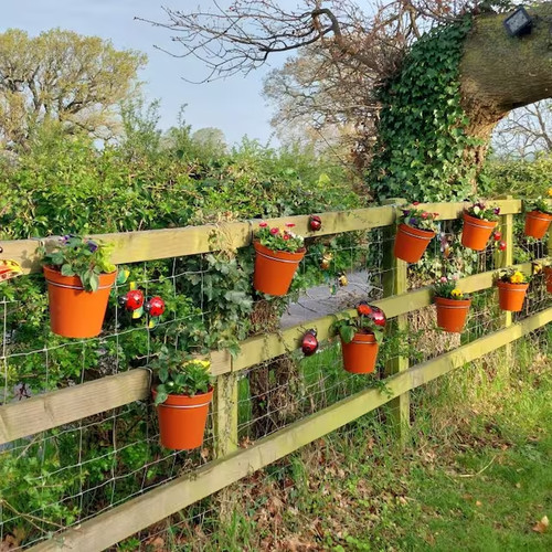 Fence panel plant - 6,