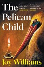 The Pelican Child by Joy