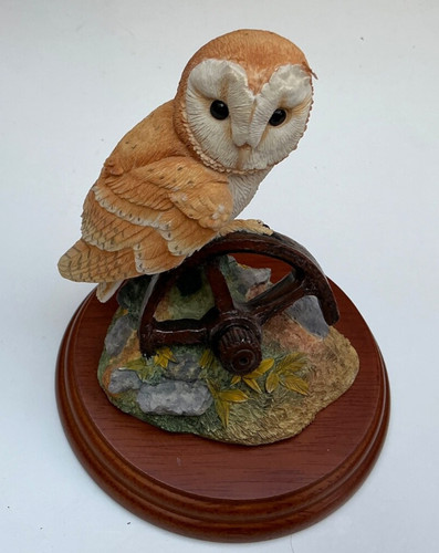Border fine arts barn owl - fine,