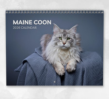 Maine Coon Calendar 2026