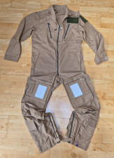 Army Air Corp Pilot Flight