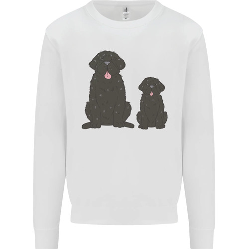 Newfoundland dog with - dog, puppy