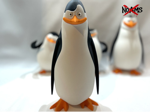 Kowalski madagascar penguin - madagascar,