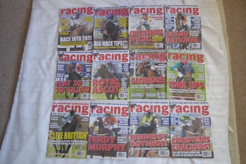 Racing ahead horse - ,