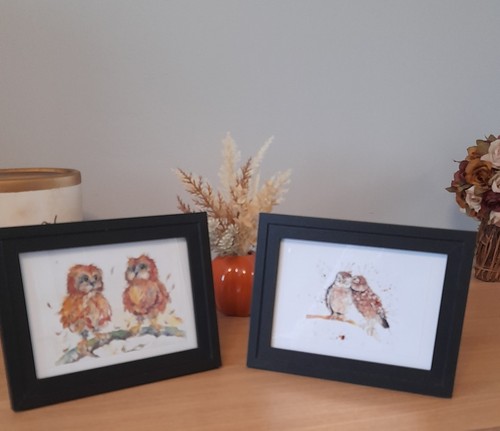 Cute owl prints - owl,