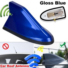 Universal Gloss Blue Car Shark