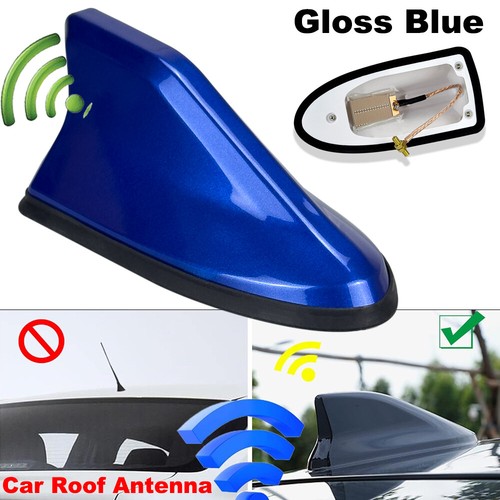 Universal gloss blue car - universal, shark