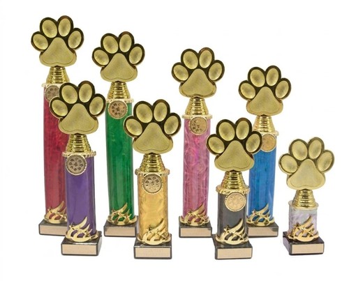 Personalised gold paw dog show - dog,