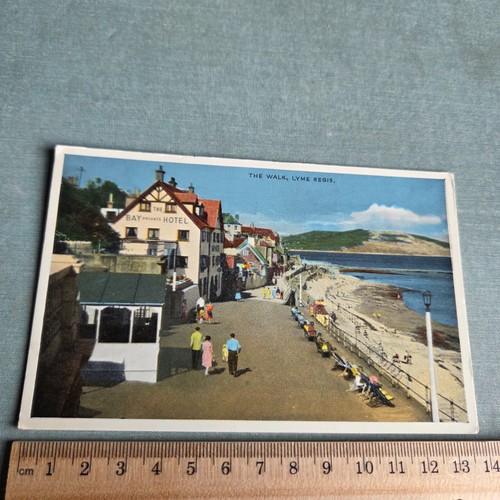 Vintage postcard the walk - vintage,