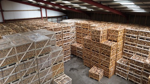 Wholesale kiln dried - dried, firewood
