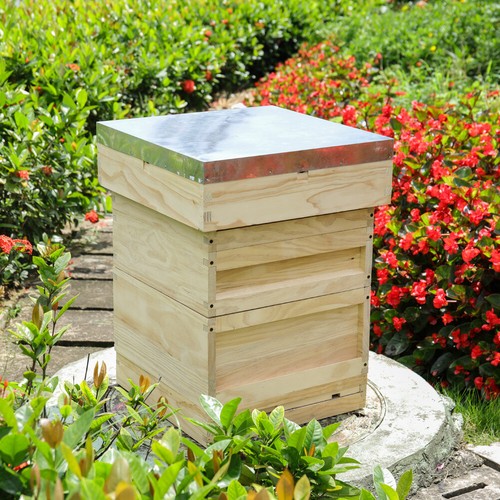 Beeswax beehive box for - beeswax,