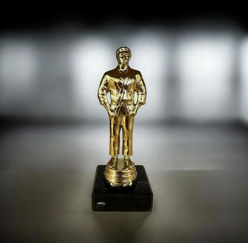 Martial arts gold standing - martial,