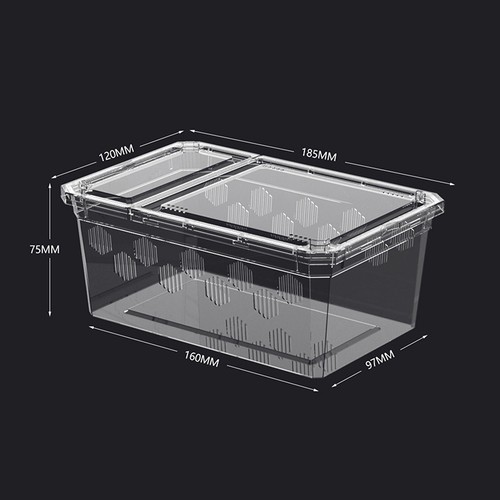 Reptile tank insect spiders - tank,
