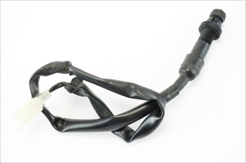 Genuine honda hornet 600 - genuine,
