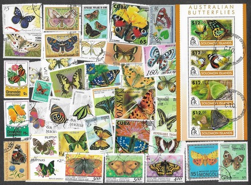 Butterflies and moths nature - butterflies,